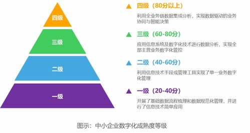 破茧成蝶 2022年中国中小企业数字化转型之路——数字技术服务的关键赋能